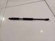 Gasfeder für Motorhaube Chrysler 300C, I 2005.01 - 2010.06 Gebraucht ,