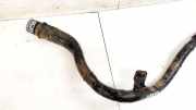 Tankeinfüllstutzen Tankrohr Kraftstoffrohr Opel Signum, 2003.05 - 2008.06 Gebraucht,