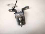 Türscharnier Vorne Renault Vel Satis, 2002.06 - 2009.12 Gebraucht,