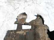 Motor-/Unterfahrschutz vorne Rover 45, 2000.02 - 2005.05 Gebraucht ,