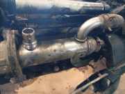 Abgaskühler AGR-Kühler Citroen C8, I 2008.06 - 2014.12 facelift Gebraucht,
