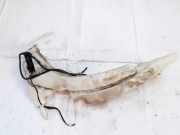 Scheibenwaschbehälter Vorne Wischwasserbehälter Ford Focus, 1998.10 - 2002.10 xs4113k163ah, xs41-13k163-bh