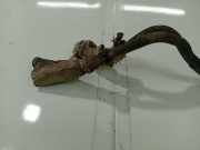 Schlauch für Luftversorgung Citroen C5, II 2008.02 - 2011.01 Gebraucht ,