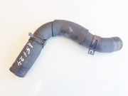 K?hlerschlauch Kia Sportage, 2004.09 - 2010.01 Gebraucht,