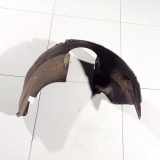 Radhausschale - Vorne Linke Fiat Doblo, 2000.03 - 2005.10 46747452,