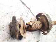 Stoßdämpfer - Vorne Rechts Citroen Berlingo, I 1996.07 - 2002.11 Gebraucht,