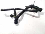 Kühlerschlauch Volkswagen Passat, B5 1996.08 - 2000.11 4a0819809,