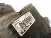 Hauptscheinwerfer - Vorne Rechts Renault Megane, II 2002.11 - 2006.06 7701054655, 89307005