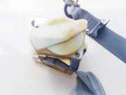 Sicherheitsgurt - Hinten Rechts Renault Laguna, I 1994.01 - 2001.03 7700428345, 7700428346