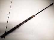 Gasfeder für Motorhaube MINI One, 2000.01 - 2006.06 41617066566,