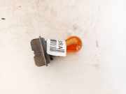 Glühbirnenfassung Blinker Peugeot 207, 2006.02 - 2009.06 Gebraucht,