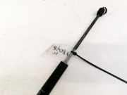 Gasdruckfeder Kofferraum Fiat Stilo, 2001.10 - 2007.01 46784994,