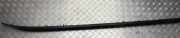 Dachreling Rechts Nissan X-Trail, 2001.06 - 2007.06 Gebraucht,