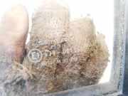 Dreieck Seitenscheibe - Vorne Linke Volkswagen Golf, II 1983.08 - 1992.07 dot27m90as2,