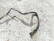 Servoleitung Leitung Servo Servoschlauch Schlauch Audi A6, C4 1994.06 - 1997.10 Gebraucht ,