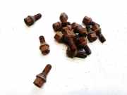 Radbolzen- Radmutter Opel Astra, G 1998.09 - 2004.12 Gebraucht,