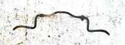 Stabilisator Vorne Toyota Corolla Verso, III 2004.05 - 2007 Gebraucht,