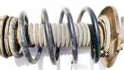 Fahrwerksfeder vorne Citroen C4 Grand Picasso, I 2006.01 - 2013.06 Gebraucht,