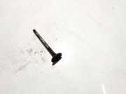 Auslassventil Fiat Bravo, 1995.10 - 2001.10 Gebraucht,