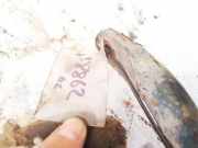 Stabilisator Vorne Citroen C8, I 2002.07 - 2008.06 Gebraucht,