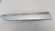 Zier-Schutzleiste Kotflügel - Vorne Linke Mercedes-Benz w209, 2002.06 - 2009.12 A2096902562,