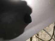 Waschwasserdüse Scheibenreinigung Peugeot 207, 2006.02 - 2009.06 Gebraucht,