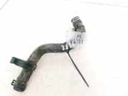 Kühlerschlauch Mazda 2, DY 2003.02 - 2007.10 Gebraucht ,