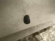 Waschwasserd?se Scheibenreinigung Toyota Corolla Verso, III 2004.05 - 2007 Gebraucht,