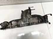 Ansaugkrümmer Hyundai Santa Fe, 2006.03 - 2012.09 Gebraucht,