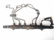 Kraftstoffverteiler Volvo S60, 2000.01 - 2005.01 0445215010,005008