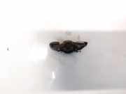 Kipphebel Motorsteuerung Opel Corsa, D 2006.07 - 2010.06 Gebraucht,