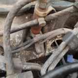 Einspritzdüse Volkswagen Passat, B5 1996.08 - 2000.11 Gebraucht, AFN