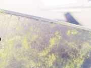 Außenspiegel Rechts Citroen Jumpy, I 1994.01 - 2006.12 E13027407,