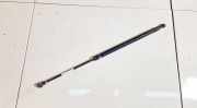 Gasdruckfeder Kofferraum Mazda 3, BL 2009.06 - 2013.06 10a06c1,