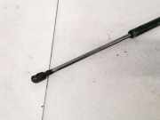 Gasfeder f?r Motorhaube Volkswagen Transporter, T4 1990.07 - 1996.01 701829331f, Nera lipdukoVIN nieko nerodo