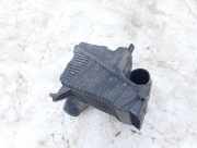 Luftfilterkasten Renault Scenic, II 2003.06 - 2006.06 8200369755,8200369806