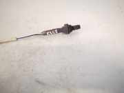 Lambdasonde -4 Drähte WEISS WEISS SCHWARZ GRAU Ford Mondeo, 1992.12 - 1996.09 Gebraucht,