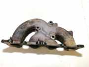 Abgaskrümmer Renault Vel Satis, 2002.06 - 2009.12 18838611, 038975