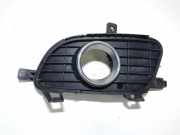 Kühlergrill - Vorne Linke Mercedes-Benz A-CLASS, W169, 2004.09 - 2008.09 1698850722, 111000027
