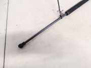 Gasdruckfeder Kofferraum Volkswagen Polo, IV 2001.09 - 2005.04 Gebraucht,