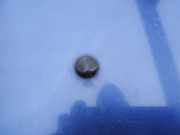 Waschwasserdüse Scheibenreinigung Opel Vectra, B 1995.09 - 2000.09 Gebraucht ,