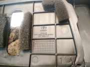 Zierleiste Opel Antara, 2006.01 - 2010.08 Gebraucht,