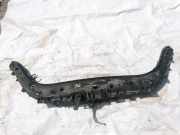 Schloßträger Renault Scenic, II 2003.06 - 2006.06 Gebraucht,