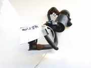 Waschwasserpumpe Scheibenreinigung Lexus IS, II 2005.10 - 2013.03 Gebraucht,