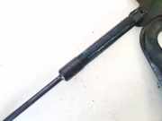 Gasfeder für Motorhaube Renault Scenic, III 2009.02 - 2013.06 654700008r,