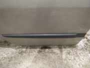 Zierleiste Tür Zier-Schutzleiste - Hinten Rechts Renault Scenic, II 2003.06 - 2006.06 Gebraucht,