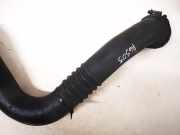 Schlauch für Luftversorgung Renault Scenic, I 1996.01 - 1999.09 7700115201,