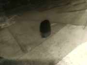 Waschwasserdüse Scheibenreinigung Ford Mondeo, 2007.03 - 2013.06 Gebraucht,