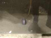 Waschwasserdüse Scheibenreinigung Toyota Avensis, II 2003.04 - 2006.03 Gebraucht,