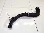Intercooler Schlauch Mitsubishi Grandis, I 2004.01 - 2009.12 Gebraucht,